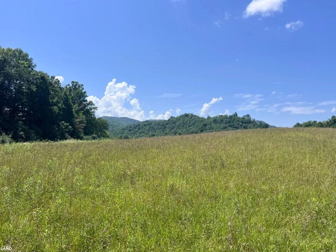 Brimstone Creek Farm