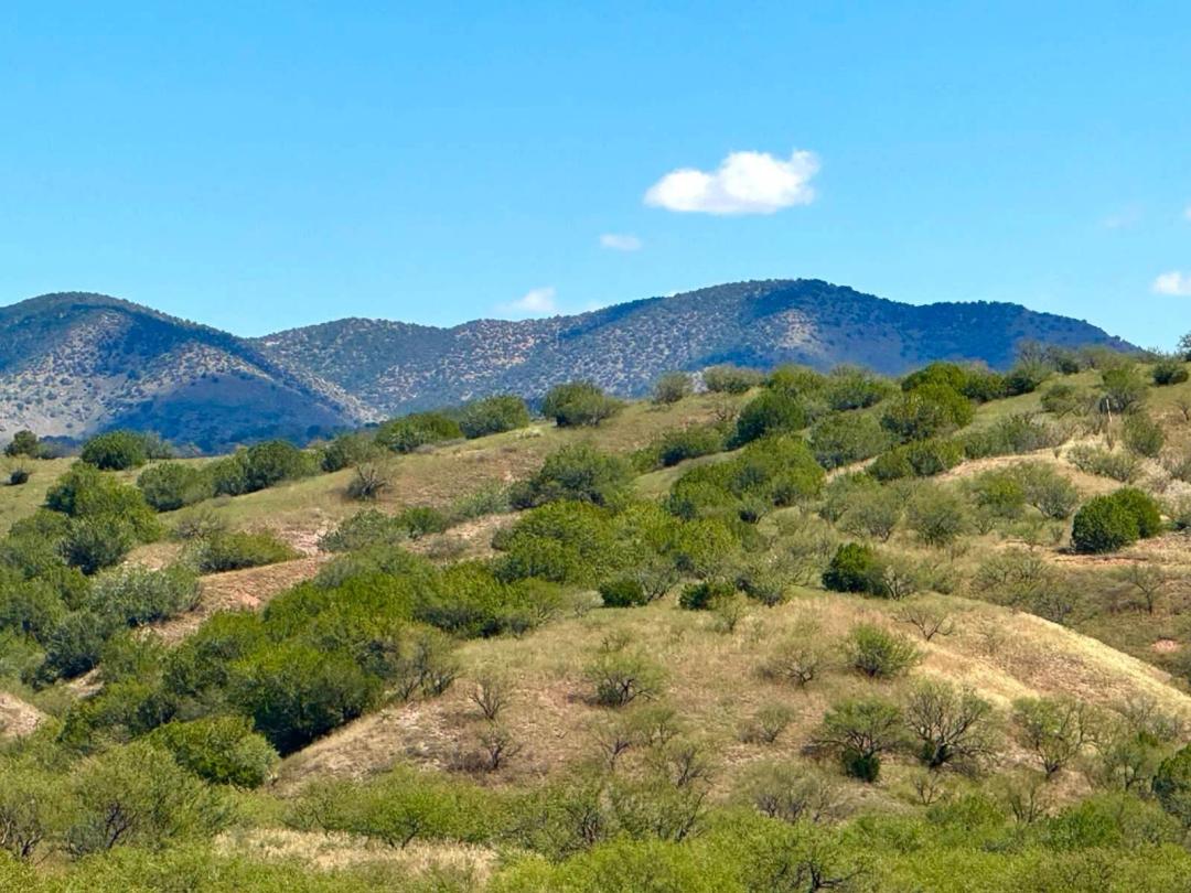 Peaceful 30 acres with mountain views, rolling hills with trees