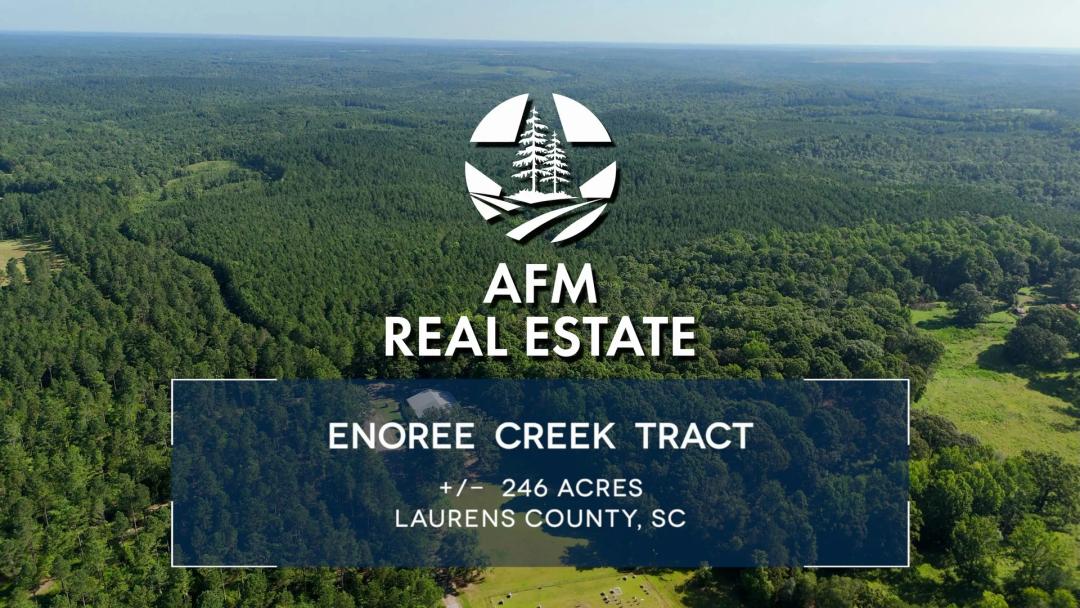 Enoree Creek Tract