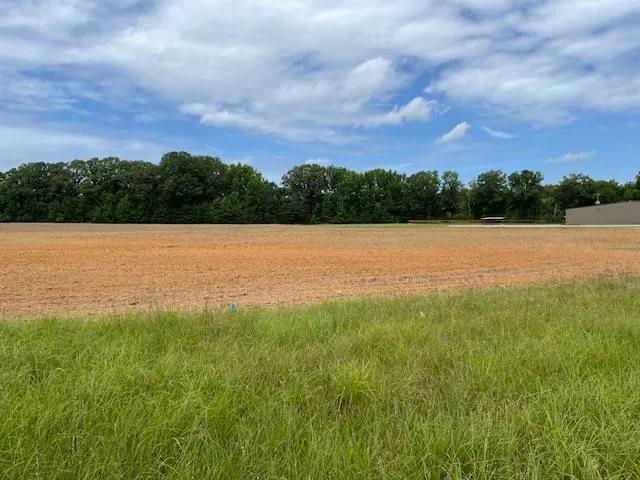 10.3 Acres With Highway 51 Frontage!