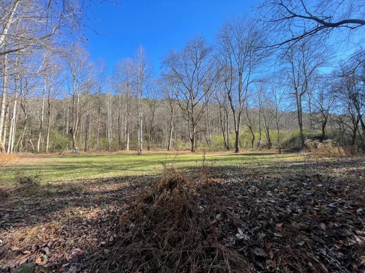 492 Acre Timber and Recreational Tract in Winston, County