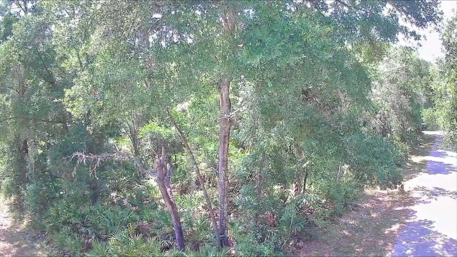 3654784-9