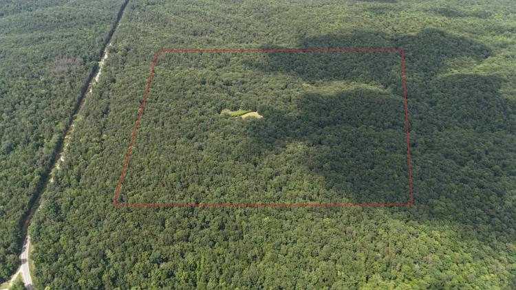 Lawrence Co., AL 40 Ac. Homestead Bordering Bankhead National Forest