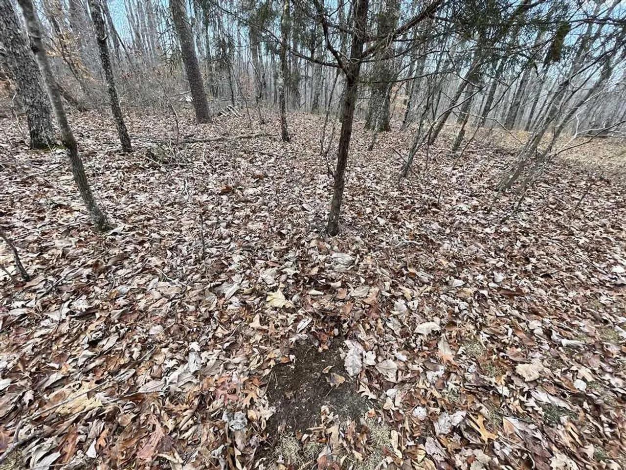 36568726-17