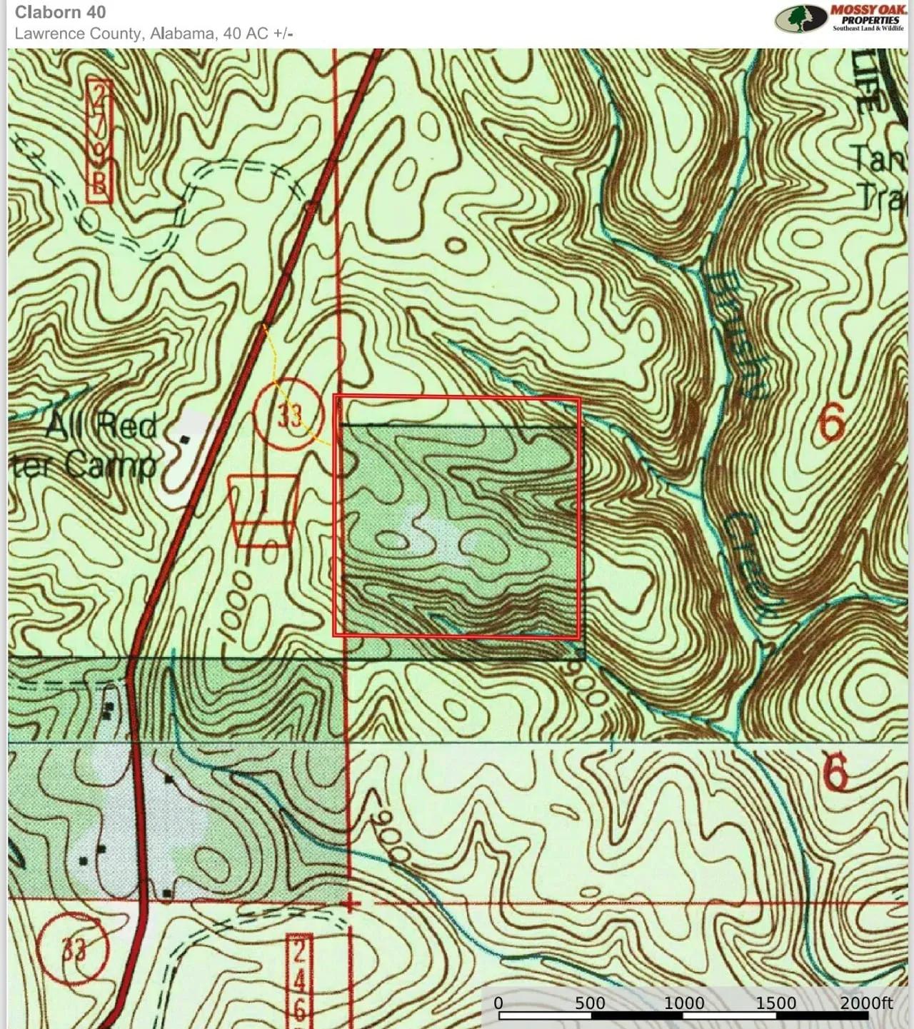 36568726-21