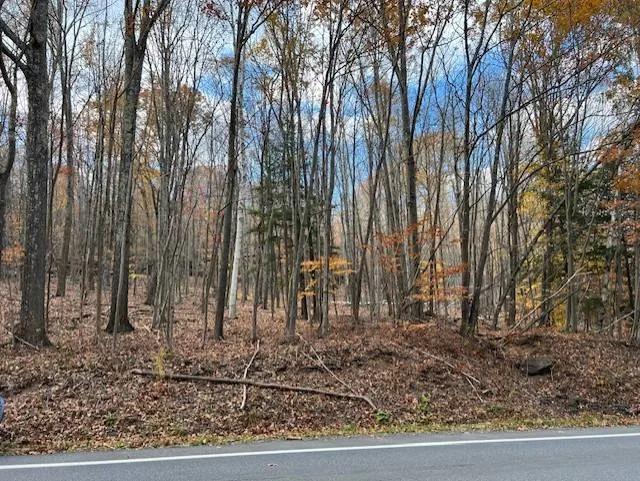 8.90 Acres at 0 Route 296