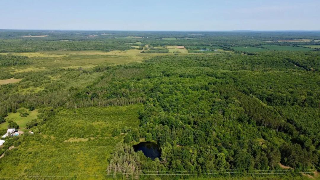 Large Acreage with 2 Ponds, Build Site & Excellent Hunting