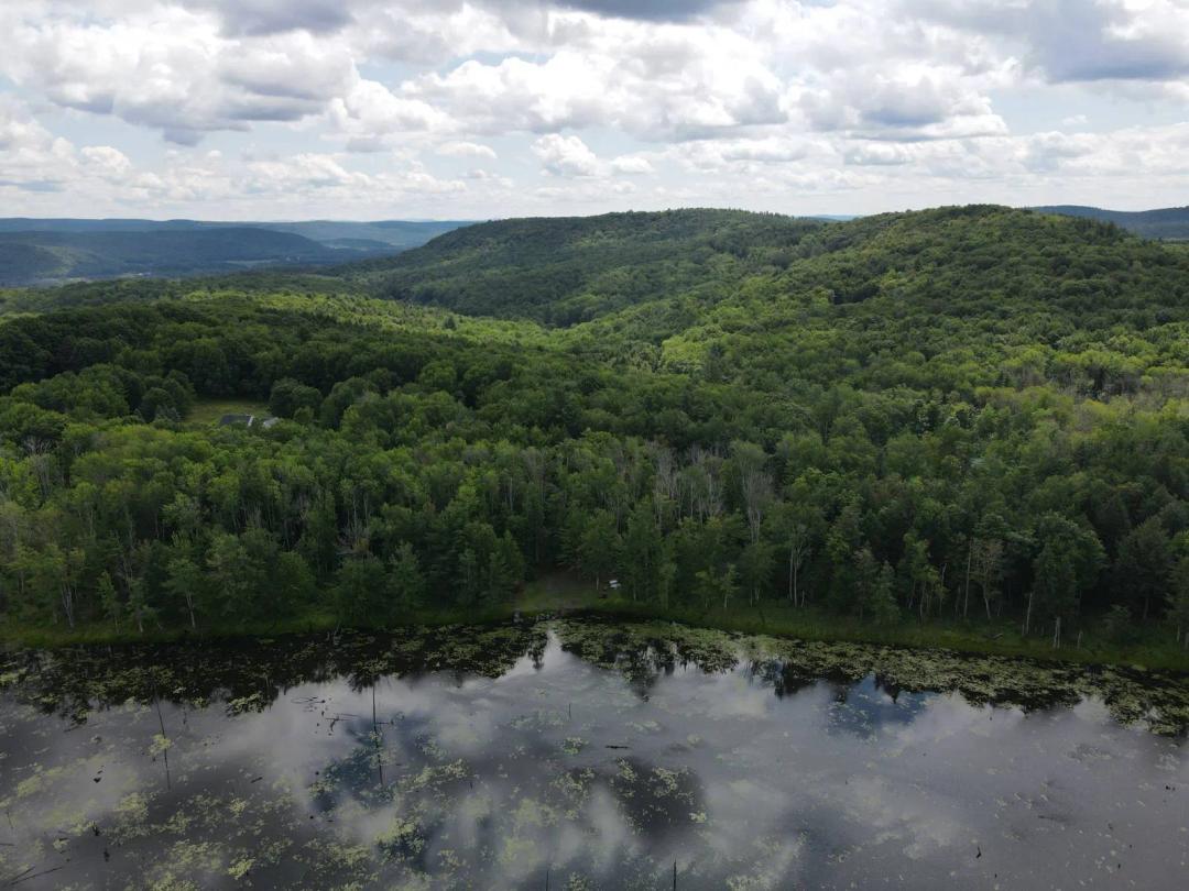 A Slice Of Paradise Near Cooperstown