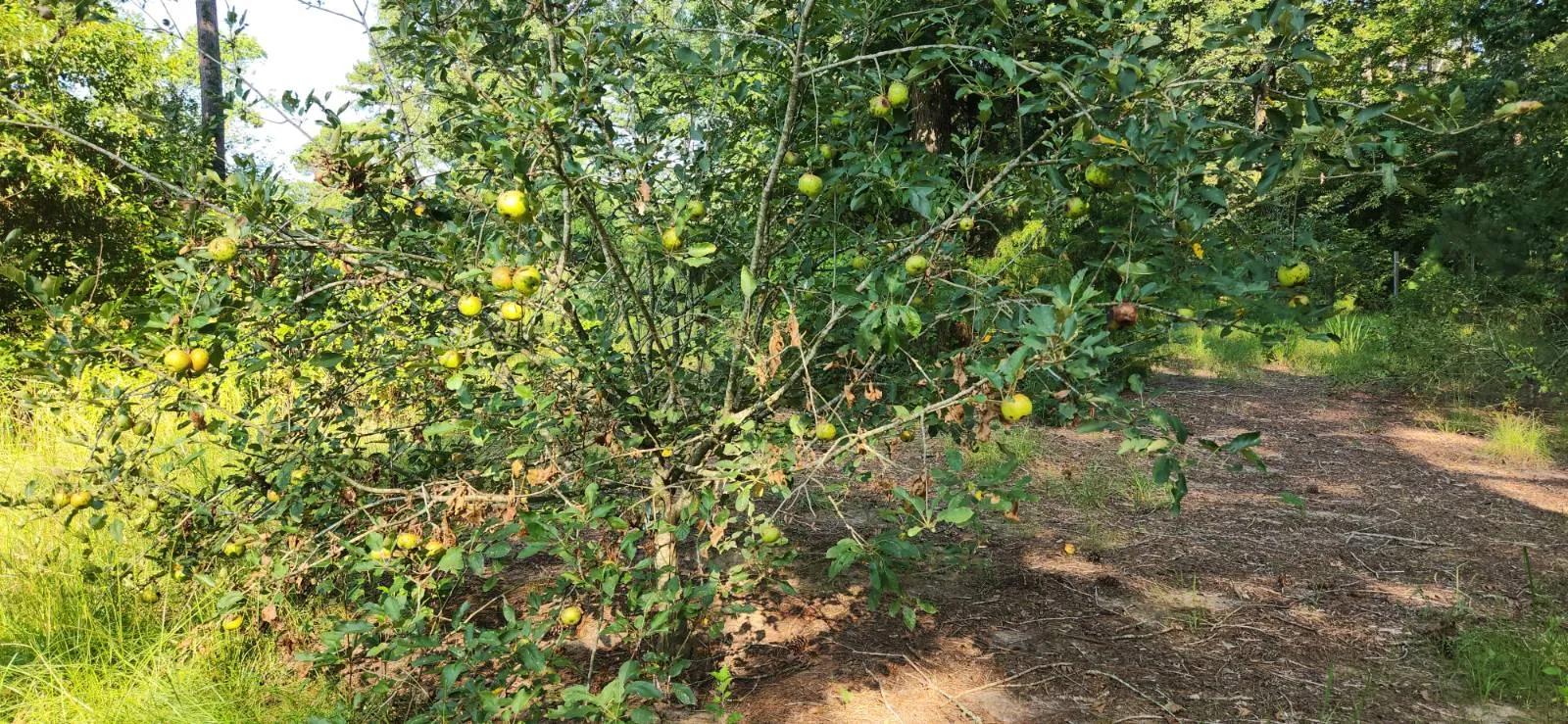 36647868-24