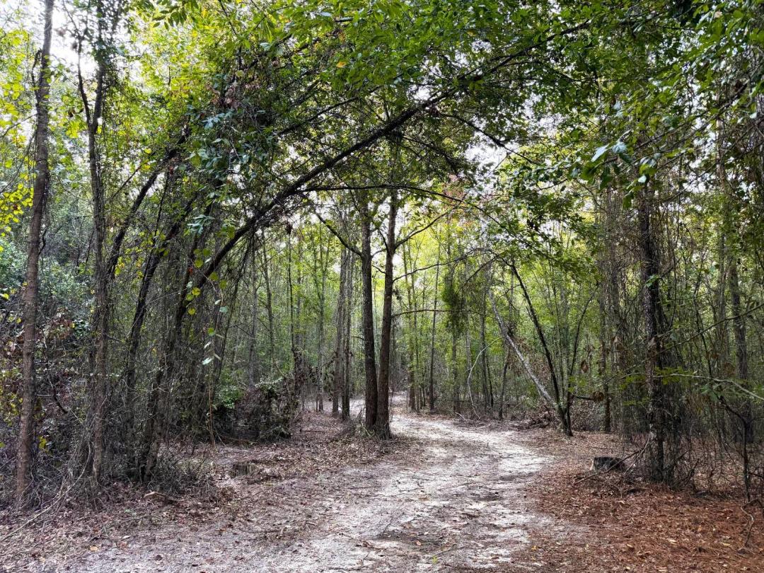 32 State Park in Twin City