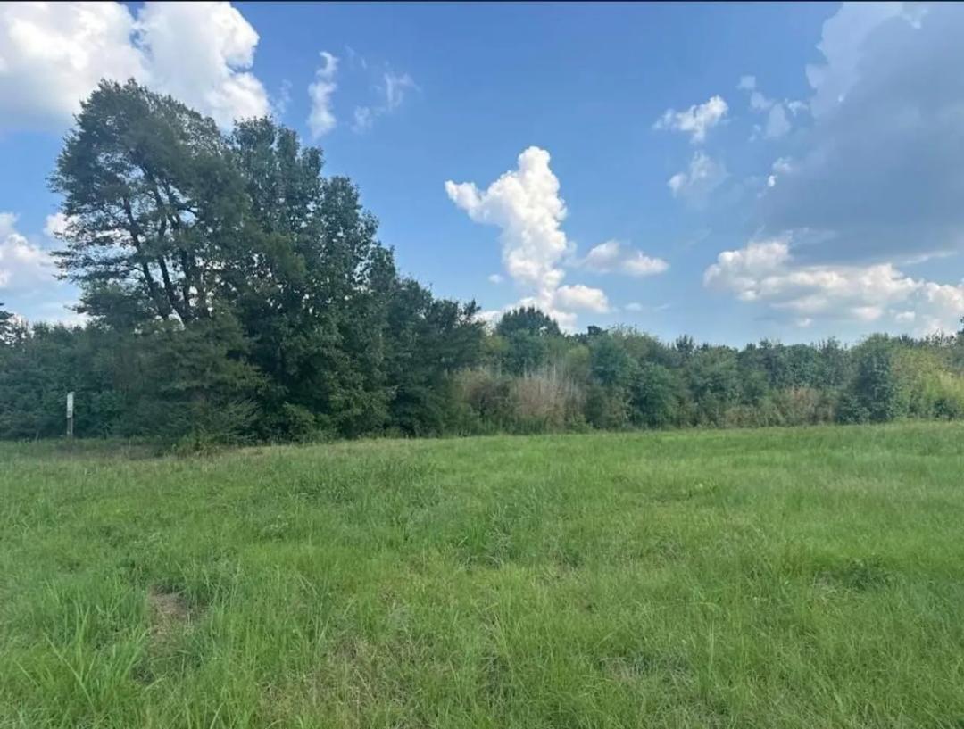1603 Atkinson Drive Lufkin, TX 75901