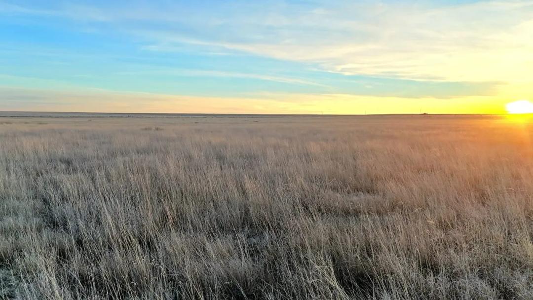 Section of CRP Expiring in 2032 with Good Annual Income