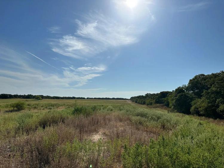 63+/- Acres, Callahan County