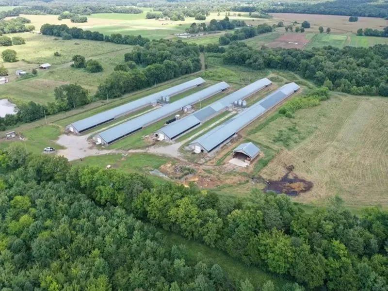 Sang Broiler Farm – Four Super Houses in Franklin County, Alabama