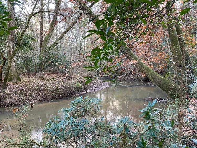 281.90 Acres in Amite County, MS 
