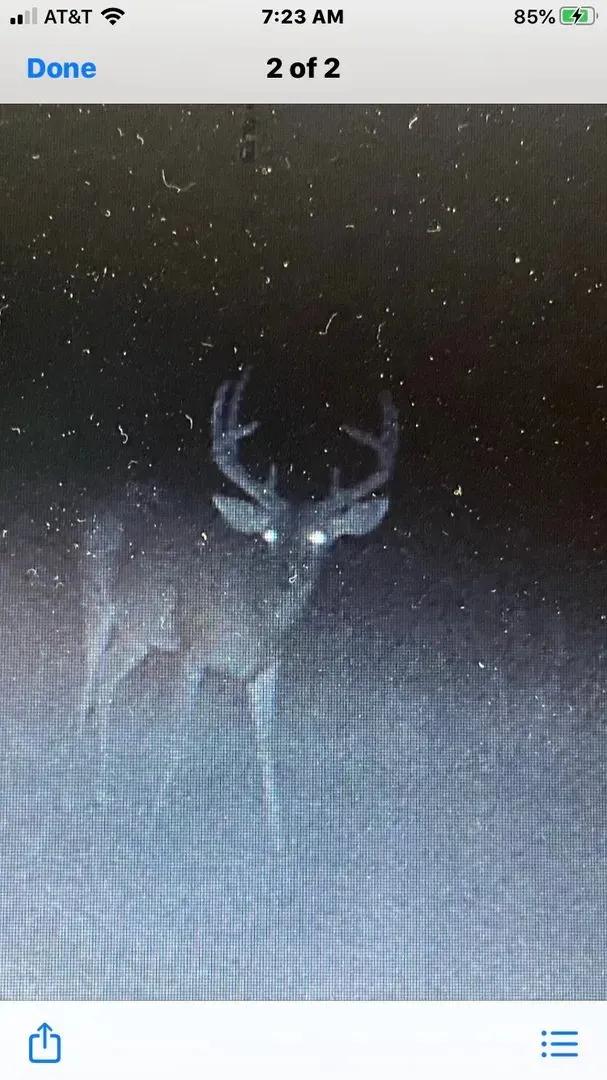 36823676-10