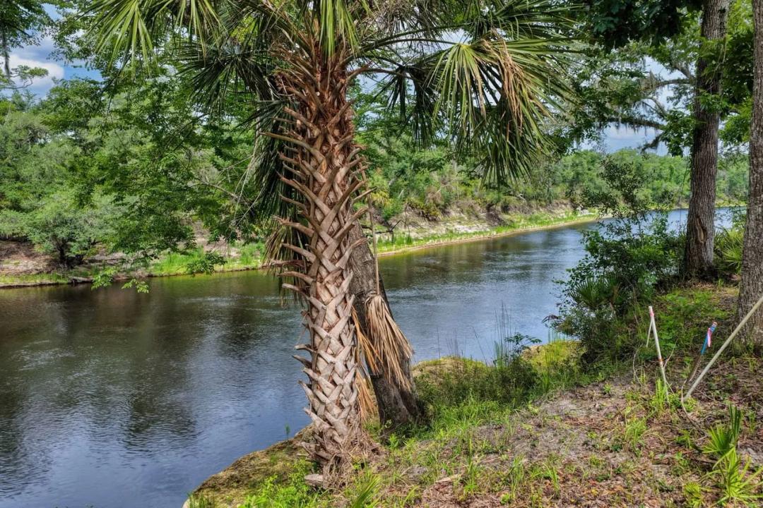1721 Boundary Bend Trail Lee, FL 32059