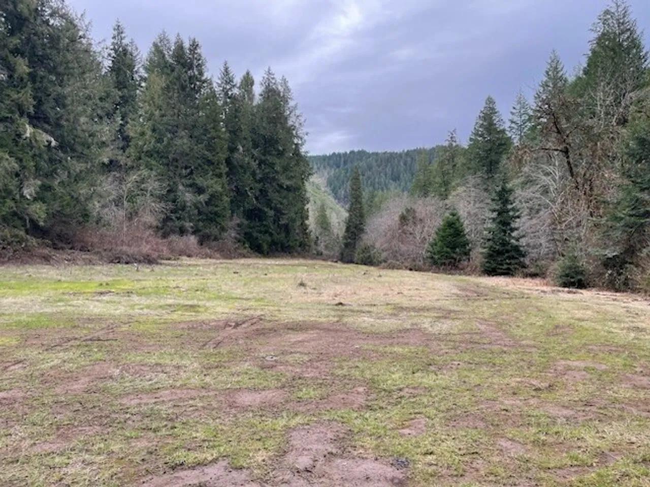 36876492-5