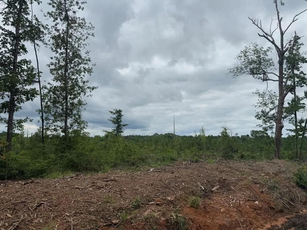 TBD FM 777 Jasper, TX 75951