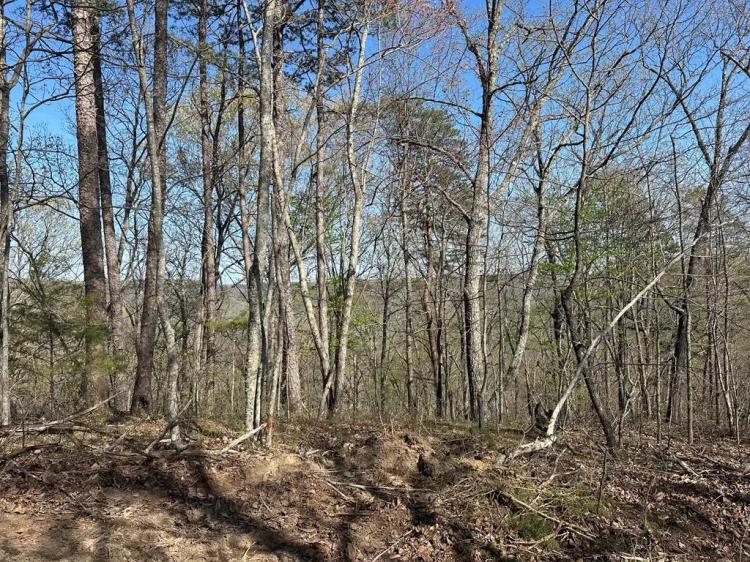 Lot 2 Buckeye Lane