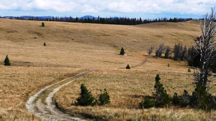 Pristine Montana Mountain Land between Helena and Lincoln