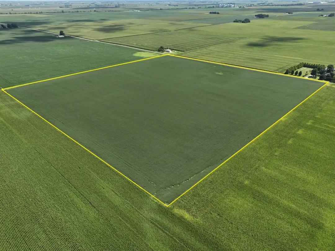 The Hoch Farmland Auction | 38.819 +/- Surveyed Acres | Coles County, IL