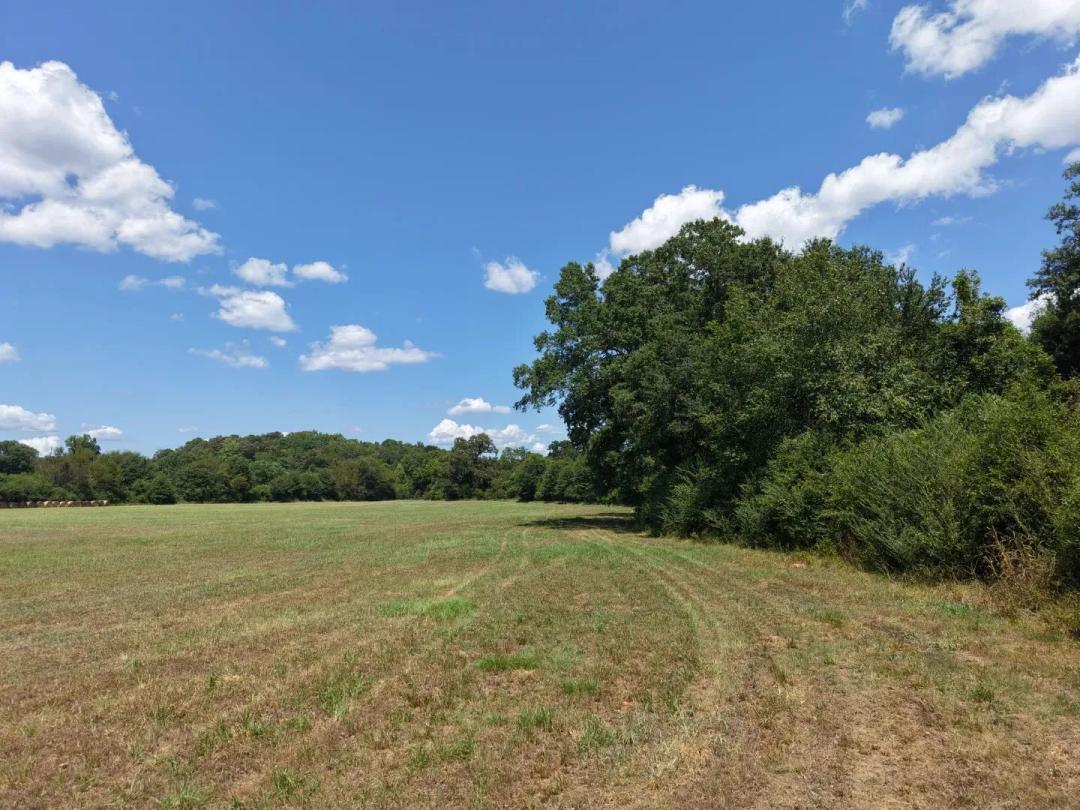 28.66 Acres in Polk County, AR 