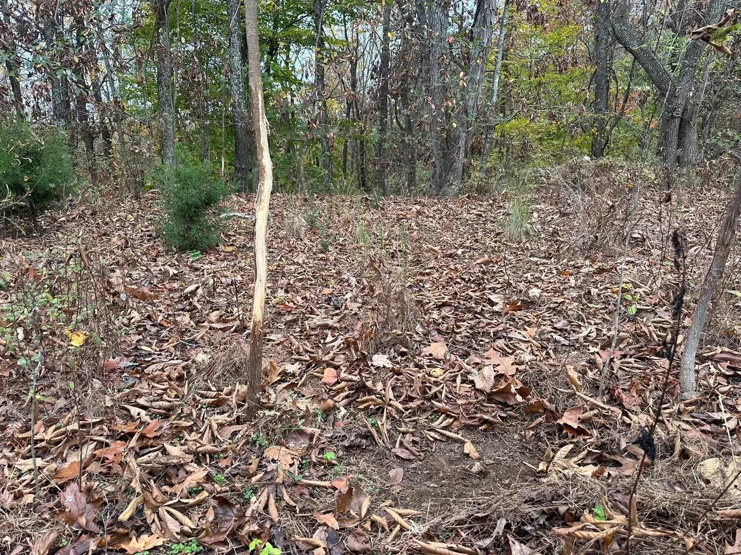 3697583-4