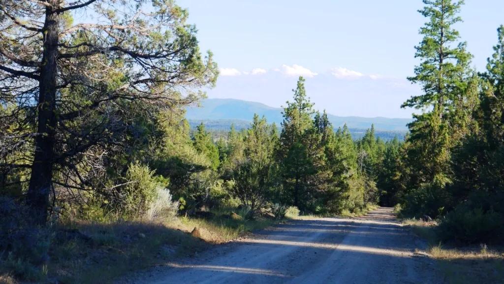 Adjoins Forest Service lands  3 treed lots * 2 together & 1 lot separted by a lot. Buy 1 or 2