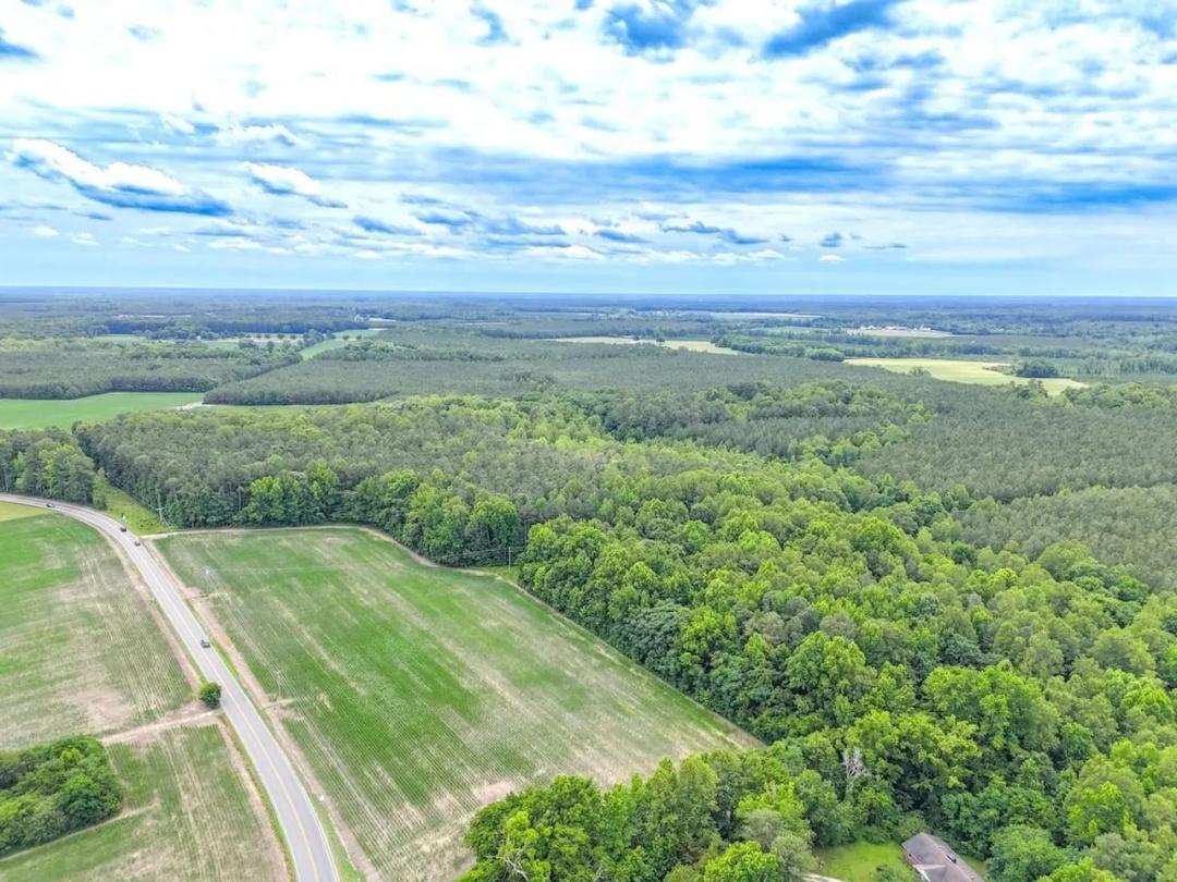 47 Deeded Acres of Farm, Timber and Hunting Land for Sale in Surry County VA!