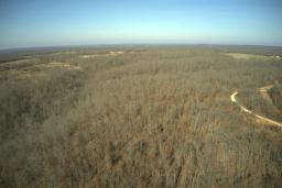 DJI_0857
