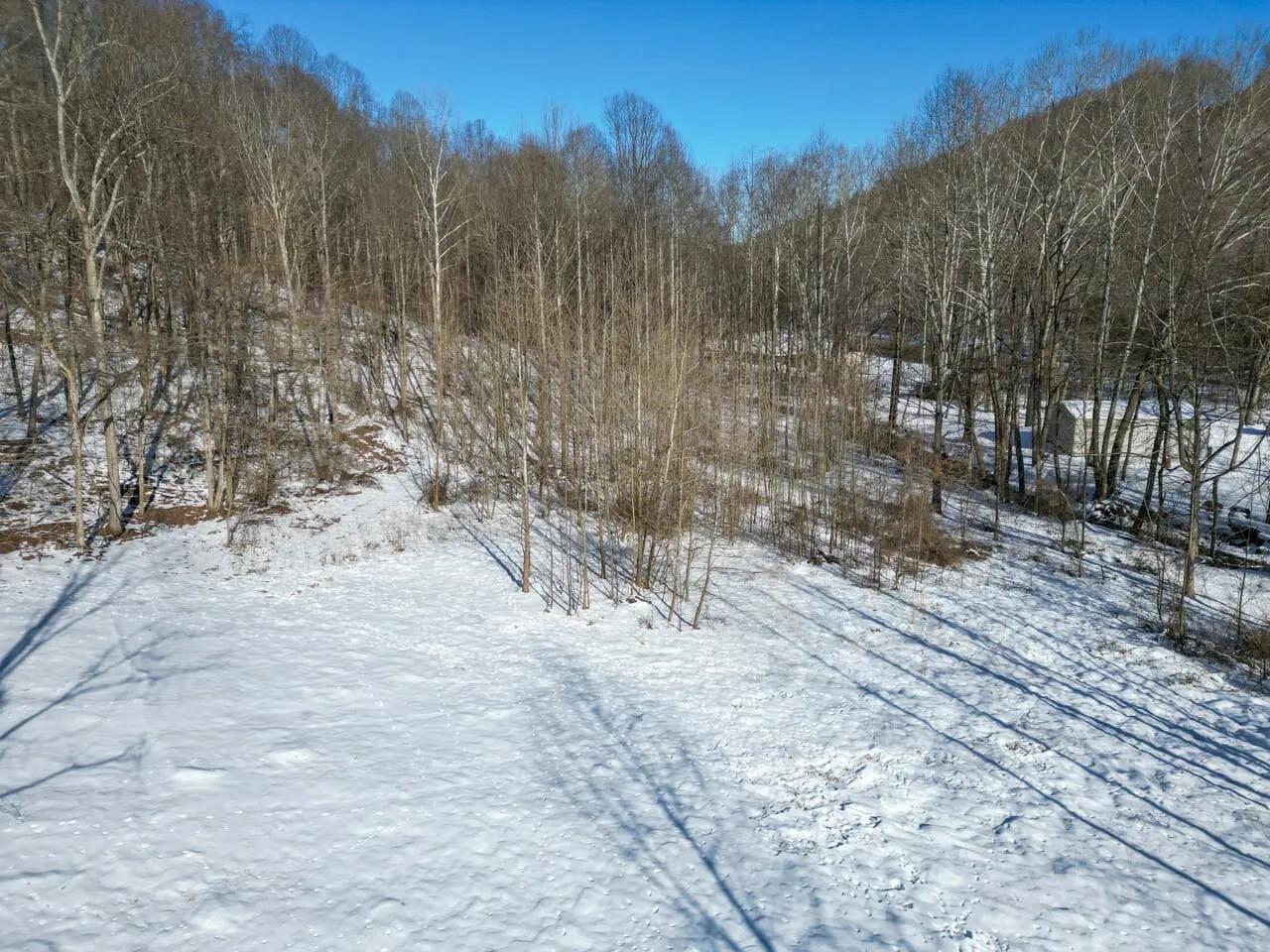 37029386-54