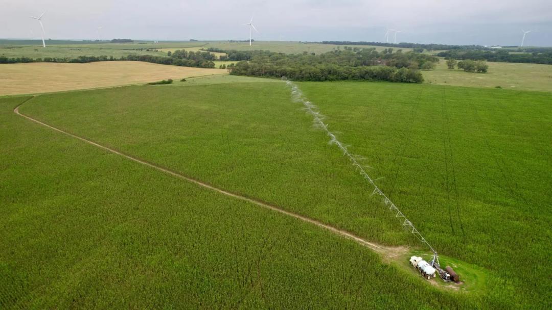 Antelope County, NE 81 Acres 