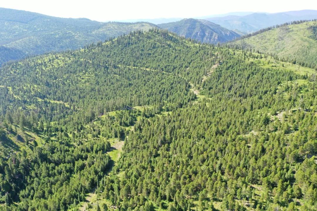 Tract 4 Garnet Range