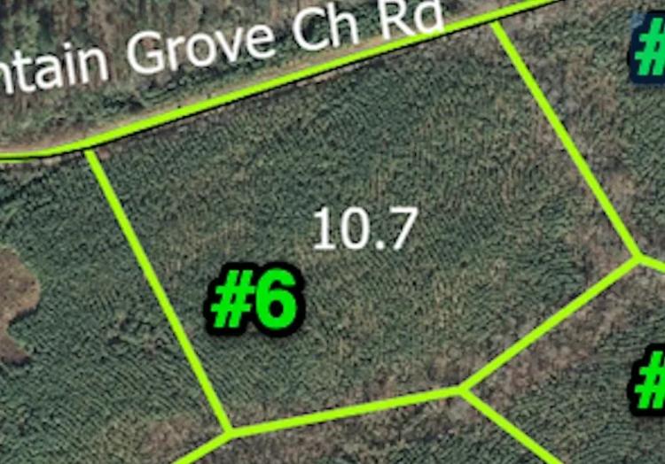 10.7 +/- Ac. Timberland Tract