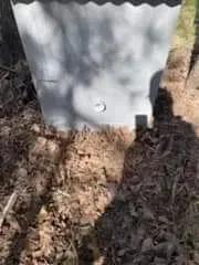 37075961-13