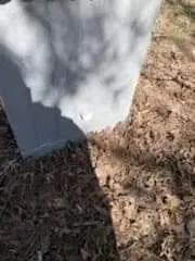 37075961-5