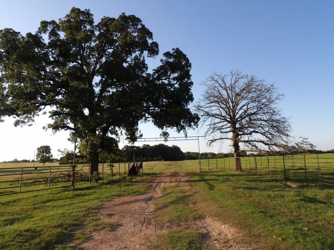 PRODUCTIVE RANCH FEATURING PASTURE, WILDLIFE, & NATIVE PECAN TREES