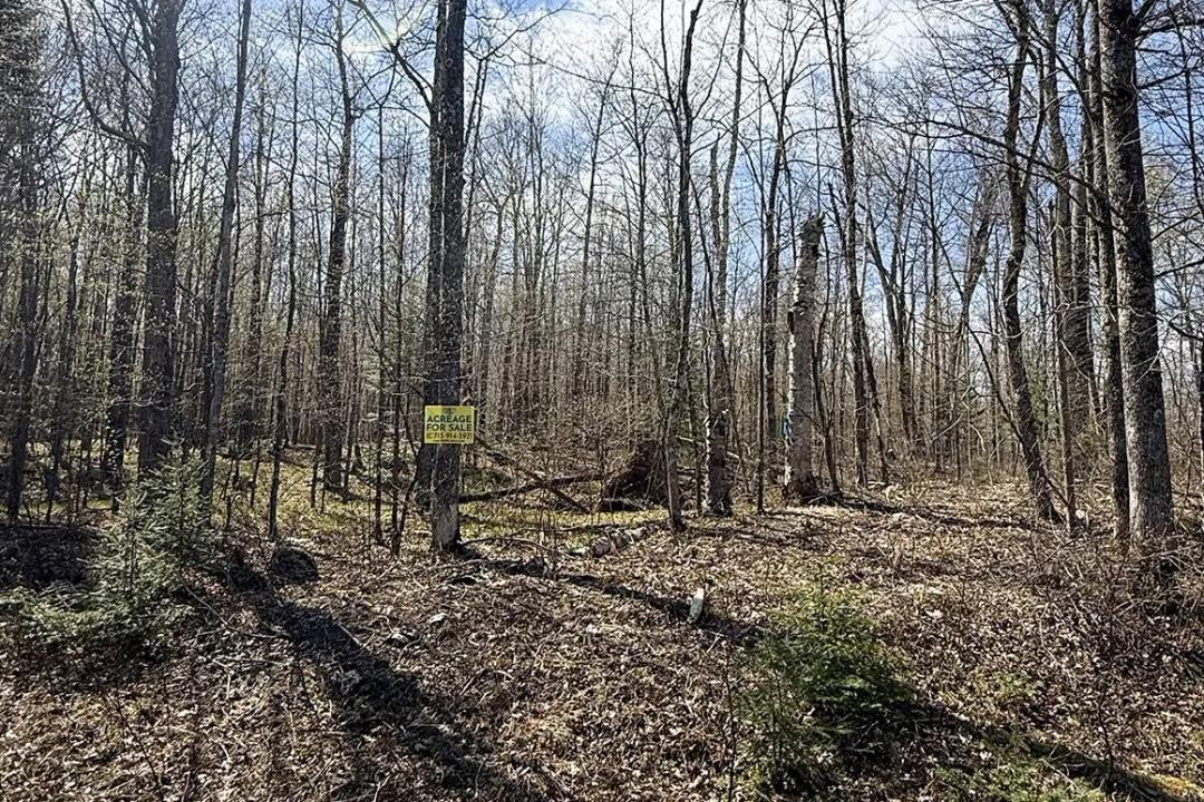 Across from Fishtrap Lake. Backed by National Forest. Buildable