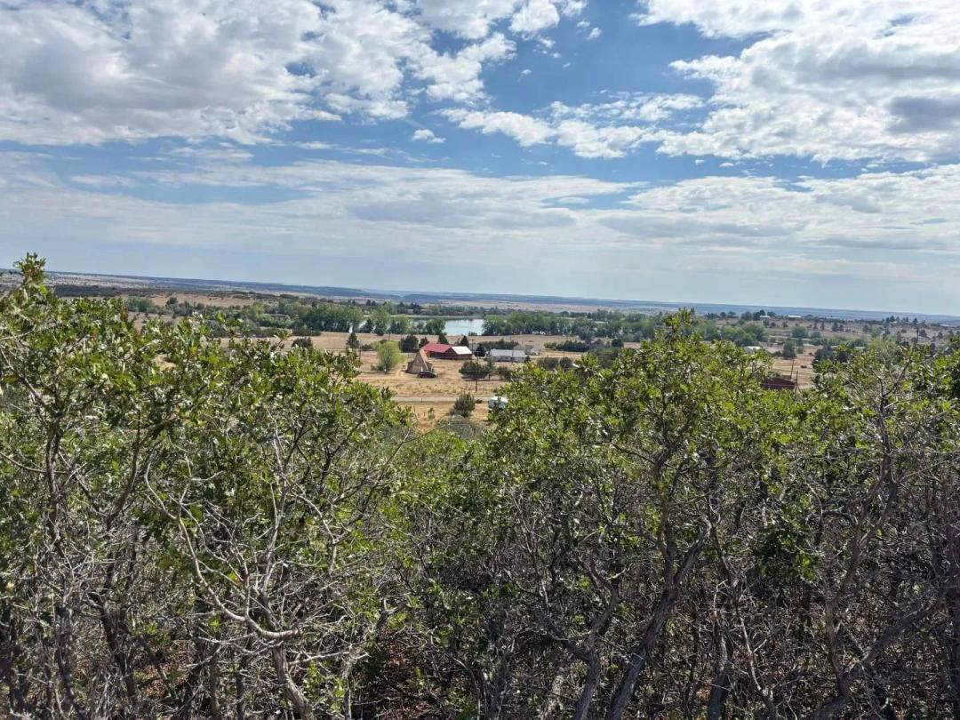 Lot 292 Little Raven Dr, Colorado City, CO 81019