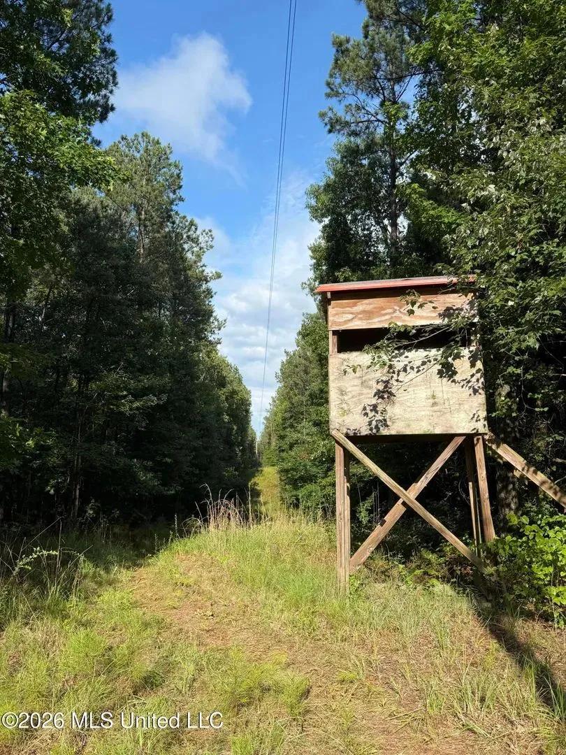 50 Acres of Land for Sale in McCool, MS
