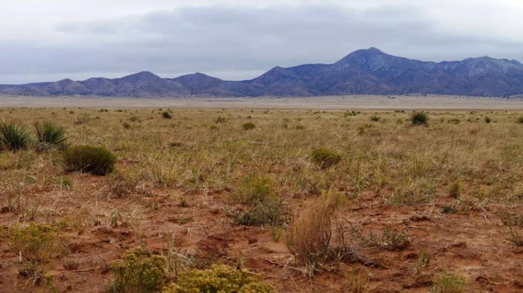 Wide open spaces * 40 miles south of Albuquerque * EZ access *