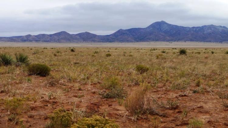 Wide open spaces * 40 miles south of Albuquerque * EZ access *
