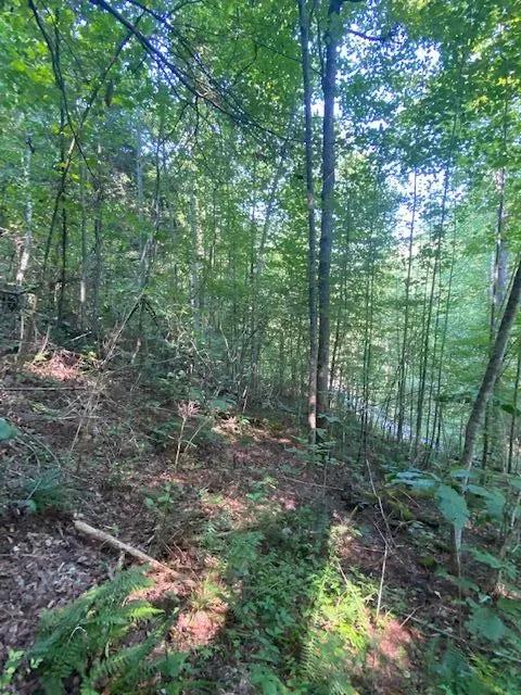 Lot 383 East Obey Lane