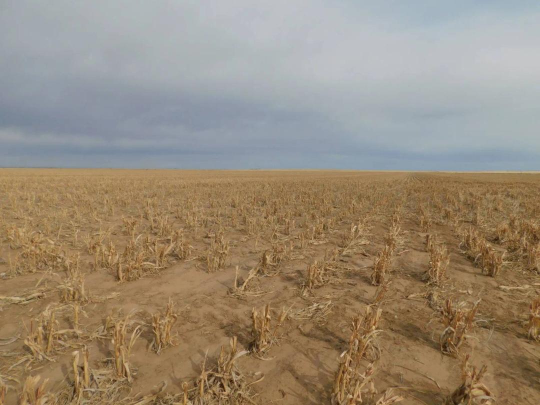 Excellent dry land farm ground.