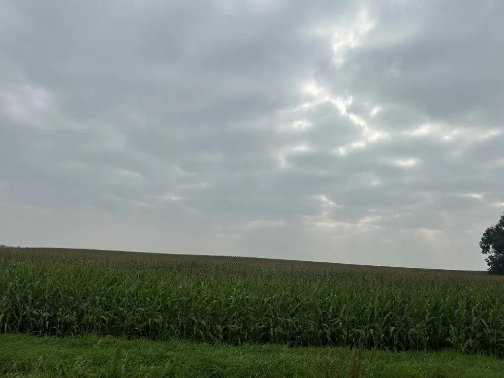 212.42 Acres at 465th St