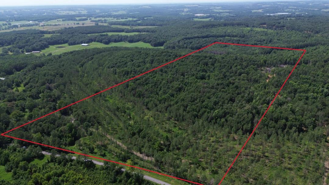 71.00 Acres at 0 Souls Chapel Road