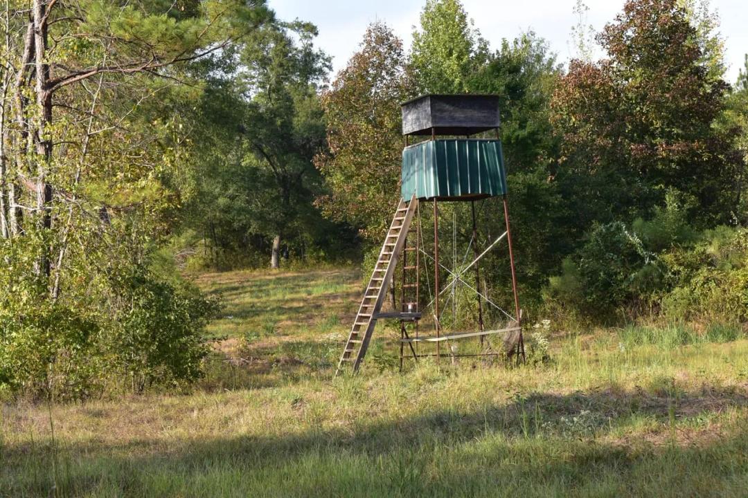 Smithton Branch East North Tract