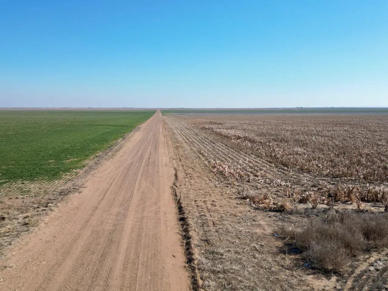 37316674-10