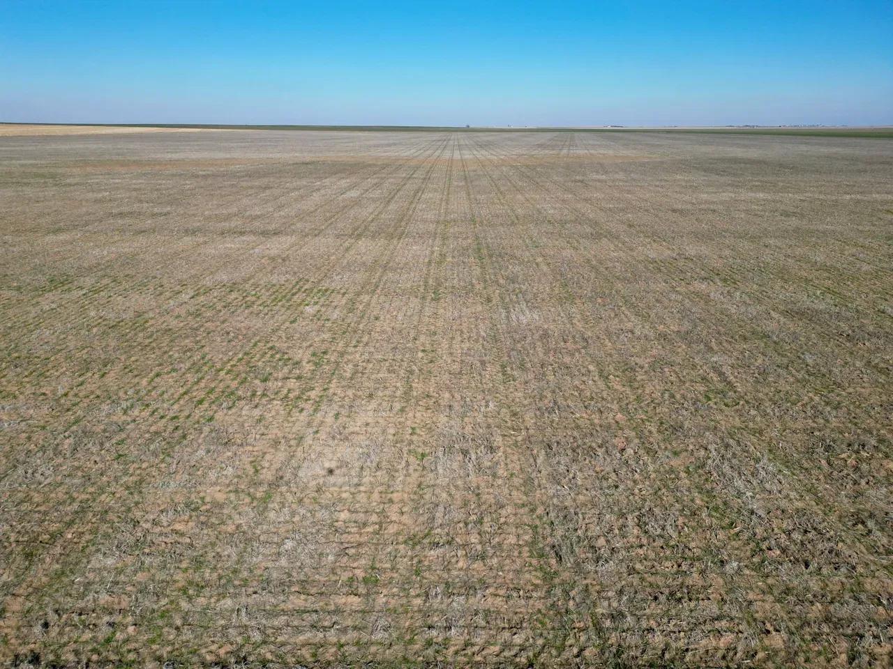 37316674-4